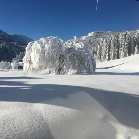 Fewo Am Auweg Muller Hirschegg (Vorarlberg)
